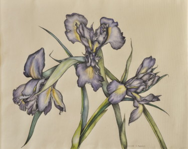 Картина под названием "Iris" - Svitlana Yatsenko, Подлинное произведение искусства, Акварель