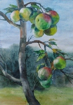 Drawing titled "Apples" by Olga Yakubouskaya, Original Artwork, Other