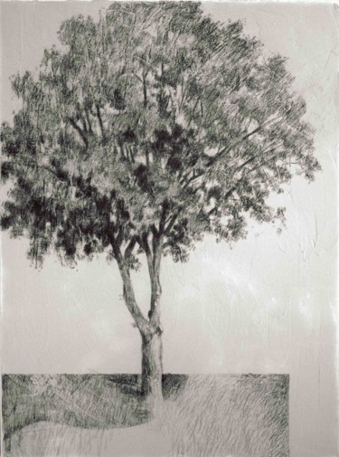 Dessin intitulée "Tree" par Yan Vita, Œuvre d'art originale, Graphite