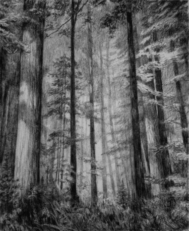 Drawing titled "Fantasy forest" by Yan Vita, Original Artwork, Graphite