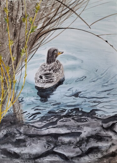 Картина под названием "Duck on the lake" - Yana Bila, Подлинное произведение искусства, Акварель