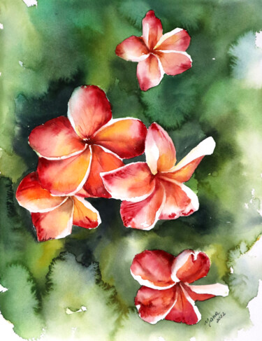 Картина под названием "Watercolor Plumeria…" - Yana Shvets, Подлинное произведение искусства, Акварель