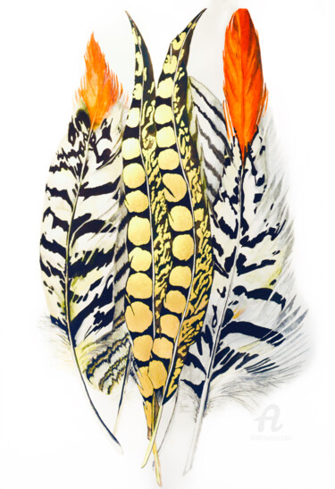 Painting titled "Feathers of pheasant" by Yana Yushkova, Original Artwork, Watercolor
