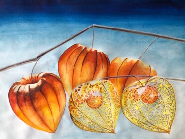 Peinture intitulée "Physalis on a branch" par Yana Yushkova, Œuvre d'art originale, Aquarelle