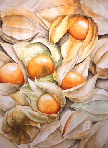 Painting titled "Ripe physalis" by Yana Yushkova, Original Artwork, Watercolor