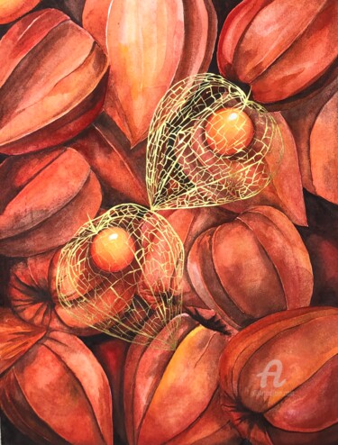 Картина под названием "FLOWERS OF PHYSALIS" - Yana Yushkova, Подлинное произведение искусства, Акварель