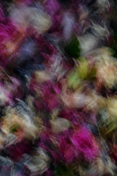 Photography titled "ABSTRACT FLORAL" by Yana Yushkevich, Original Artwork, Digital Photography