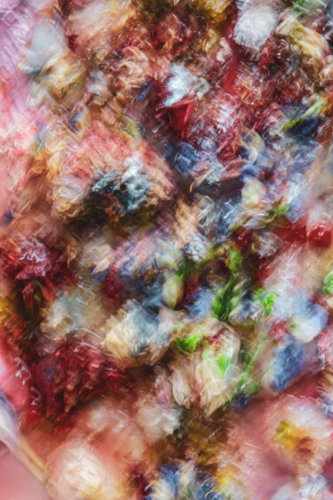 Red Flowers Photography titled "Red Flowers" by Yana Yushkevich, Original Art, Digital Photography