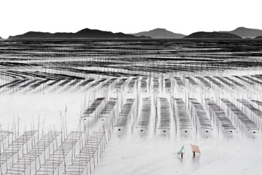Photography titled "Mudflats Of Xiapu #3" by Yancho Sabev, Original Artwork, Digital Photography Mounted on Aluminium