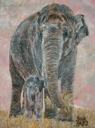 Картина под названием "Elephants" - Yanik Lasko, Подлинное произведение искусства, Масло