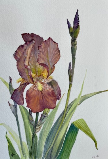 Peinture intitulée "Iris 1" par Yanina Kalinichenko, Œuvre d'art originale, Aquarelle