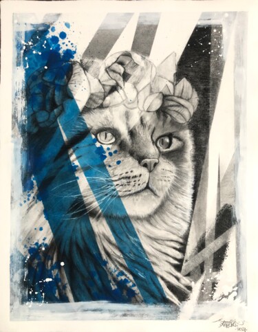 Drawing titled "Blue Maine Coon" by Yannick Aaron, Original Artwork, Charcoal