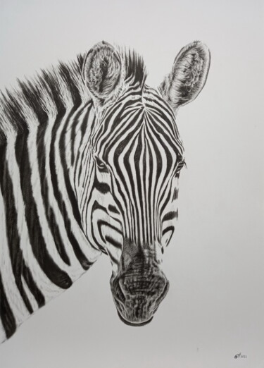 Malerei mit dem Titel "Zebra" von Yaroslav Teslenko, Original-Kunstwerk, Öl