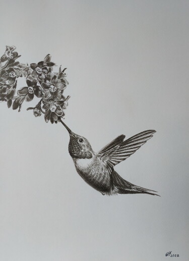 Painting titled "Hummingbird" by Yaroslav Teslenko, Original Artwork, Charcoal