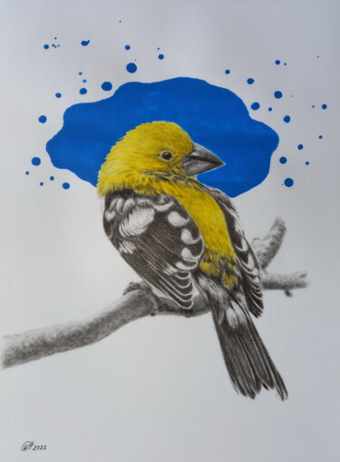 Schilderij getiteld "Yellow Bird" door Yaroslav Teslenko, Origineel Kunstwerk, Olie