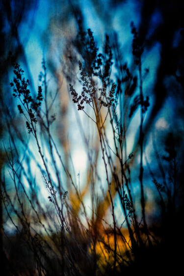 Fotografie getiteld "Blue Mood" door Yasmina Baggili, Origineel Kunstwerk, Digitale fotografie