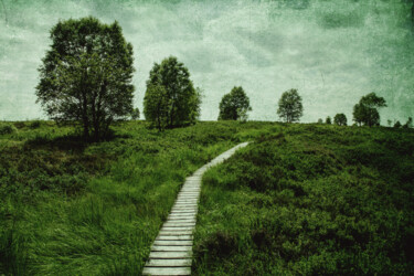 Photography titled "Le petit chemin des…" by Yasmina Baggili, Original Artwork, Digital Photography