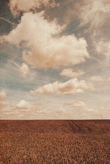 Фотография под названием "Solitude" - Yasmina Baggili, Подлинное произведение искусства, Цифровая фотография