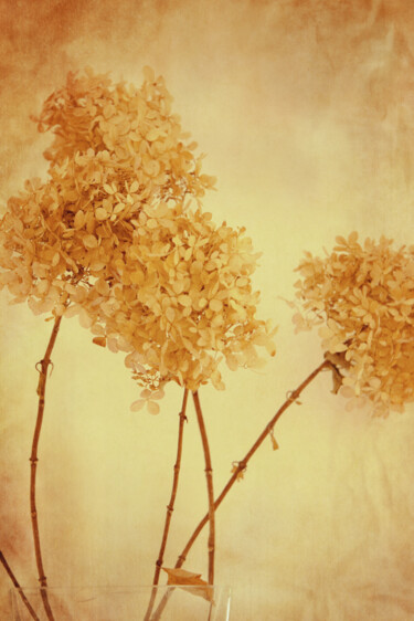 Fotografie mit dem Titel "Yellow mood" von Yasmina Baggili, Original-Kunstwerk, Digitale Fotografie