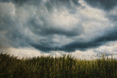 Fotografia intitolato "Disturbed Sky" da Yasmina Baggili, Opera d'arte originale, Fotografia digitale