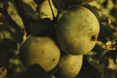 Fotografia zatytułowany „Fruits” autorstwa Yasmina Baggili, Oryginalna praca, Fotografia cyfrowa