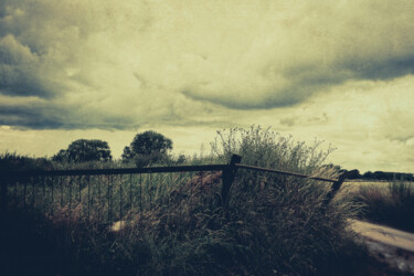 Photographie intitulée "In the countryside" par Yasmina Baggili, Œuvre d'art originale, Photographie numérique