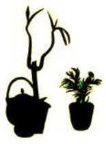 Dessin intitulée "plante et cafetière" par Art-Is, Œuvre d'art originale