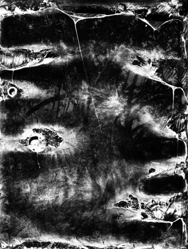 Photography titled "Spirit of Forest 01" by Yasuo Kiyonaga, Original Artwork, Analog photography Mounted on Cardboard