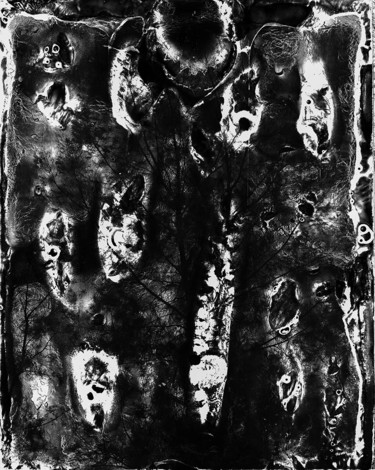Fotografía titulada "Spirit of Forest 05" por Yasuo Kiyonaga, Obra de arte original, Fotografía analógica Montado en Cartuli…