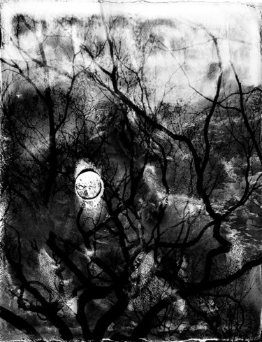 Fotografie mit dem Titel "Spirit of Forest 07" von Yasuo Kiyonaga, Original-Kunstwerk, Analog Fotografie Auf Karton montiert
