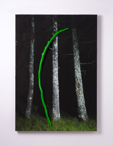 Photographie intitulée "Real_01" par Yasuo Kiyonaga, Œuvre d'art originale, Photographie numérique Monté sur Panneau de bois