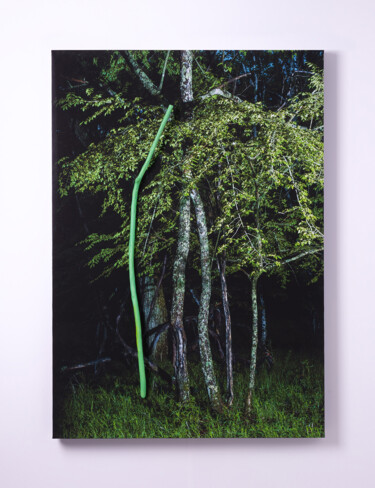 Photographie intitulée "Real_02" par Yasuo Kiyonaga, Œuvre d'art originale, Photographie numérique Monté sur Panneau de bois