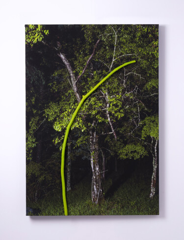 Photographie intitulée "REAL 03" par Yasuo Kiyonaga, Œuvre d'art originale, Photographie numérique Monté sur Panneau de bois