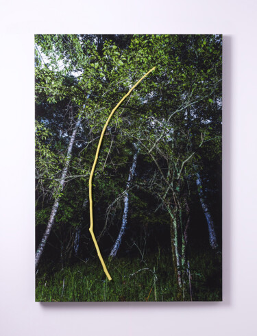 Fotografie mit dem Titel "REAL05" von Yasuo Kiyonaga, Original-Kunstwerk, Digitale Fotografie Auf Holzplatte montiert