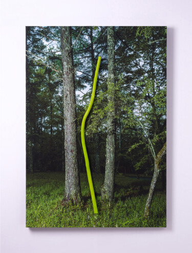 Photographie intitulée "Real_07" par Yasuo Kiyonaga, Œuvre d'art originale, Photographie numérique Monté sur Panneau de bois