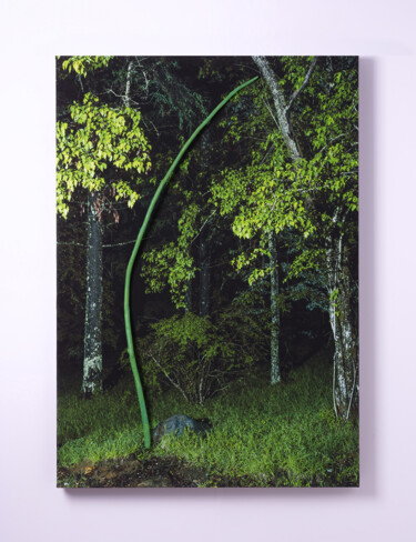 Photographie intitulée "REAL08" par Yasuo Kiyonaga, Œuvre d'art originale, Photographie numérique Monté sur Panneau de bois