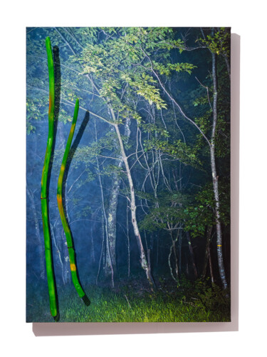 REAL 10 Photographie intitulée "REAL 10" par Yasuo Kiyonaga, Œuvre d'art originale, Photographie numérique Monté sur Panneau de bois