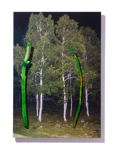Real_11 Photographie intitulée "Real_11" par Yasuo Kiyonaga, Œuvre d'art originale, Photographie numérique Monté sur Panneau de bois