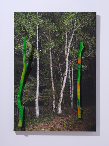 Photographie intitulée "Real13" par Yasuo Kiyonaga, Œuvre d'art originale, Photographie numérique Monté sur Panneau de bois