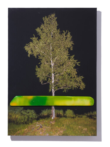 Photographie intitulée "Real_14" par Yasuo Kiyonaga, Œuvre d'art originale, Photographie numérique Monté sur Panneau de bois