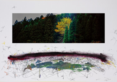 摄影 标题为“Turbulence in Kyoto…” 由Yasuo Kiyonaga, 原创艺术品, 数码摄影 安装在纸板上
