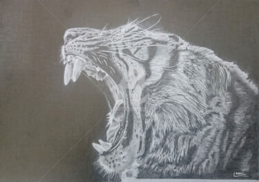 Tekening getiteld "Tigre" door Dessinludo, Origineel Kunstwerk, Grafiet