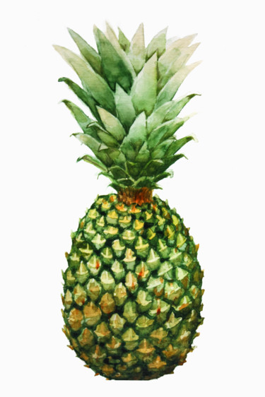 Painting titled "Pineapple" by Elena Minkova, Original Artwork, Watercolor
