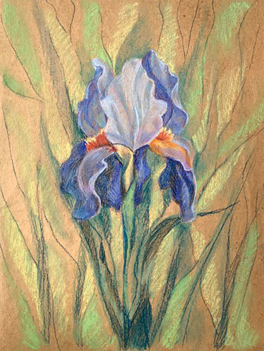 Zeichnungen mit dem Titel "blue iris" von Yelena Rybalkina, Original-Kunstwerk, Pastell