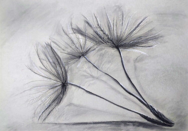 Рисунок под названием "Dandelion Fluff" - Yelena Rybalkina, Подлинное произведение искусства, Древесный уголь