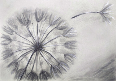 Zeichnungen mit dem Titel "Dandelion" von Yelena Rybalkina, Original-Kunstwerk, Kohle