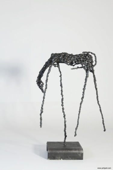 Скульптура под названием "noodles horse" - Yeaji Park, Подлинное произведение искусства, Металлы