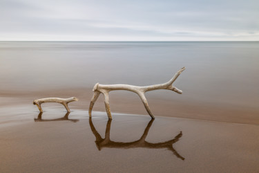 Dreams by the sea Fotografia intitulada "Dreams by the sea" por Евгений Табалыкин, Obras de arte originais, Fotografia Não Manipulada