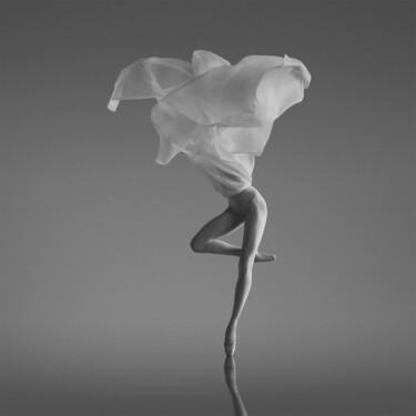 Photographie intitulée "Lotus_" par Yevgeniy Repiashenko, Œuvre d'art originale, Impression numérique