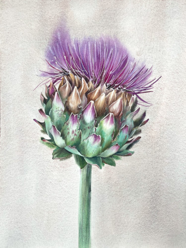 Malerei mit dem Titel "Artichoke" von Evgeniia Salamatina, Original-Kunstwerk, Aquarell